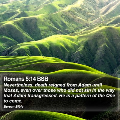 Romans 5:14 BSB Bible Verse Image