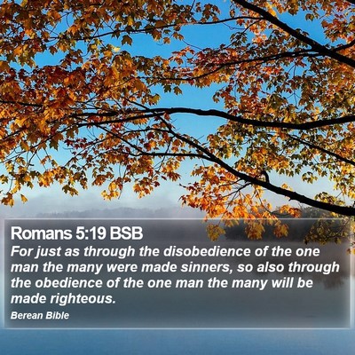Romans 5:19 BSB Bible Verse Image