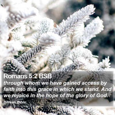 Romans 5:2 BSB Bible Verse Image