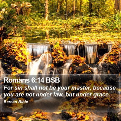 Romans 6:14 BSB Bible Verse Image