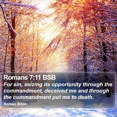 Romans 7:11 BSB Bible Verse Image