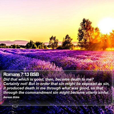 Romans 7:13 BSB Bible Verse Image