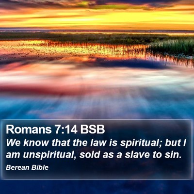 Romans 7:14 BSB Bible Verse Image