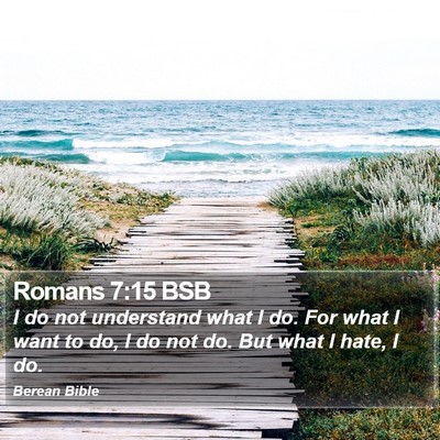 Romans 7:15 BSB Bible Verse Image