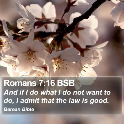 Romans 7:16 BSB Bible Verse Image