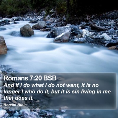 Romans 7:20 BSB Bible Verse Image