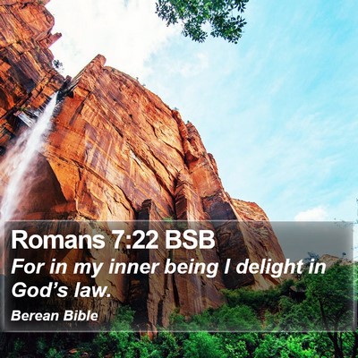 Romans 7:22 BSB Bible Verse Image