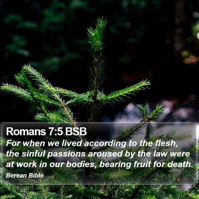 Romans 7:5 BSB Bible Verse Image