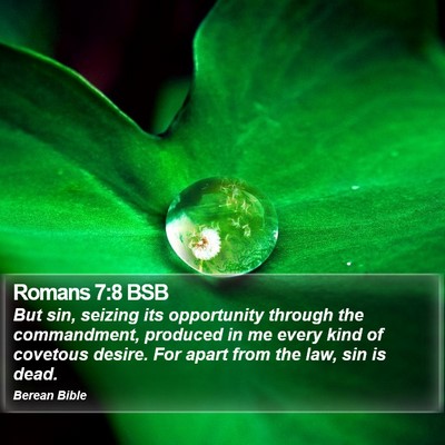 Romans 7:8 BSB Bible Verse Image