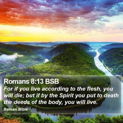 Romans 8:13 BSB Bible Verse Image