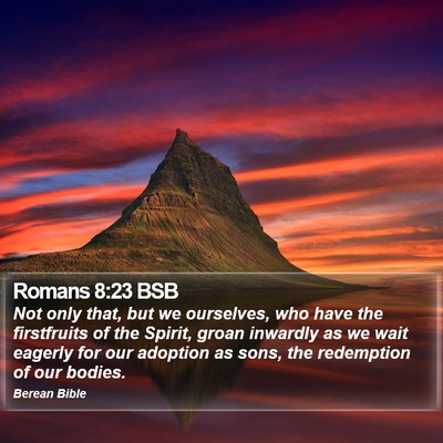 Romans 8:23 BSB Bible Verse Image