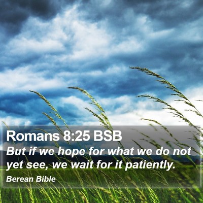 Romans 8:25 BSB Bible Verse Image
