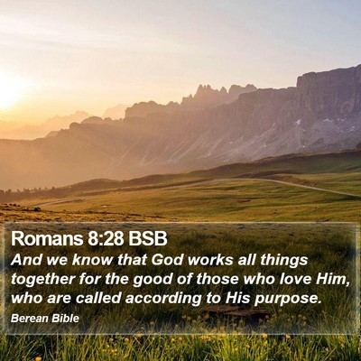 Romans 8:28 BSB Bible Verse Image