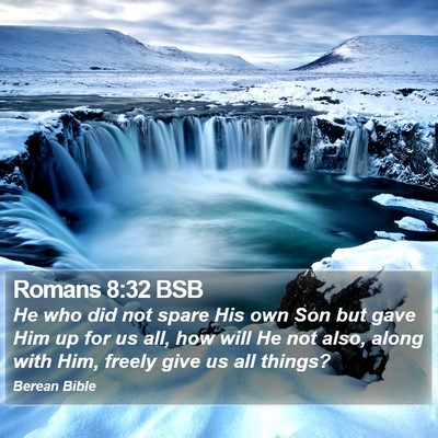 Romans 8:32 BSB Bible Verse Image