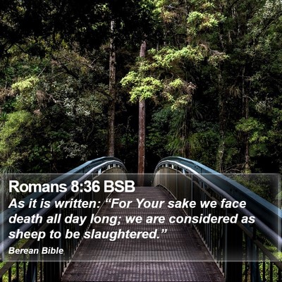 Romans 8:36 BSB Bible Verse Image