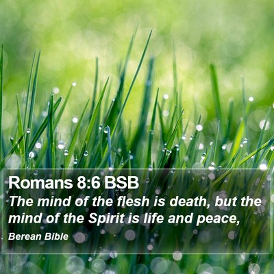 Romans 8:6 BSB Bible Verse Image