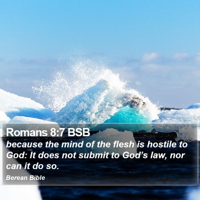 Romans 8:7 BSB Bible Verse Image