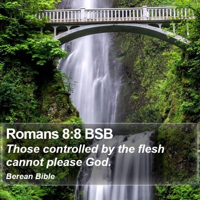 Romans 8:8 BSB Bible Verse Image