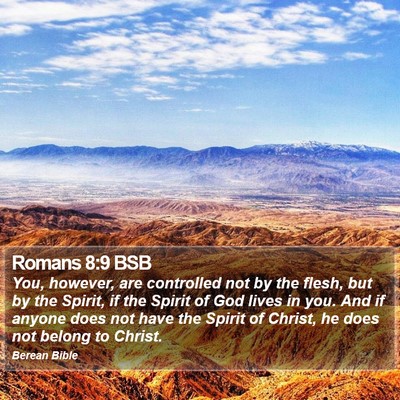 Romans 8:9 BSB Bible Verse Image