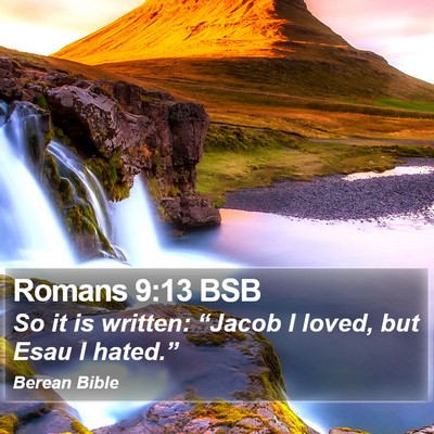 Romans 9:13 BSB Bible Verse Image