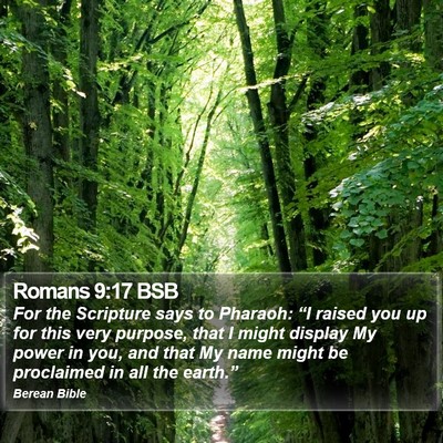 Romans 9:17 BSB Bible Verse Image