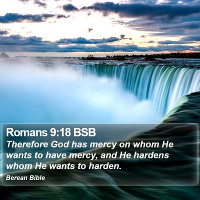 Romans 9:18 BSB Bible Verse Image