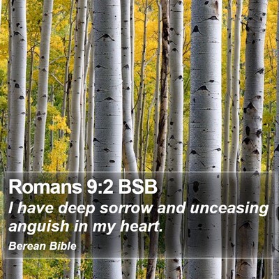 Romans 9:2 BSB Bible Verse Image