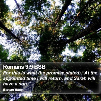 Romans 9:9 BSB Bible Verse Image