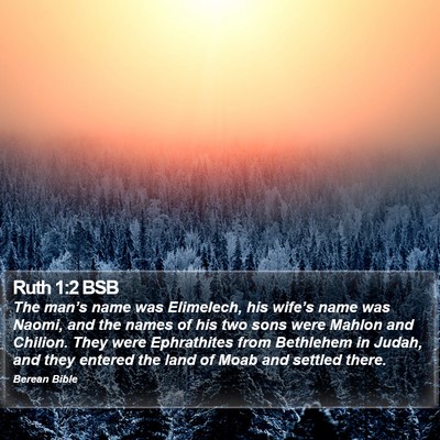 Ruth 1:2 BSB Bible Verse Image