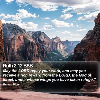 Ruth 2:12 BSB Bible Verse Image