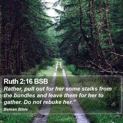 Ruth 2:16 BSB Bible Verse Image