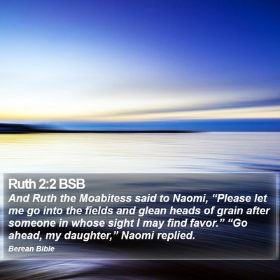 Ruth 2:2 BSB Bible Verse Image