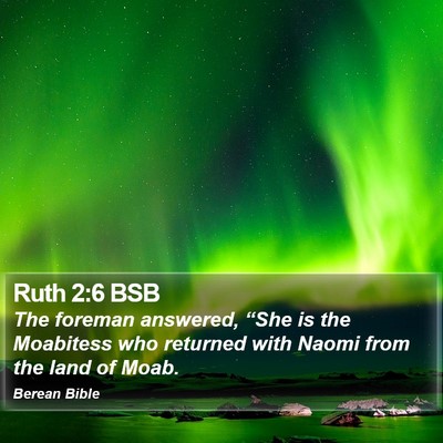Ruth 2:6 BSB Bible Verse Image