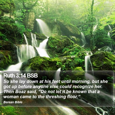 Ruth 3:14 BSB Bible Verse Image