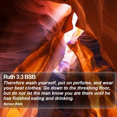 Ruth 3:3 BSB Bible Verse Image