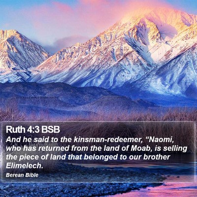 Ruth 4:3 BSB Bible Verse Image