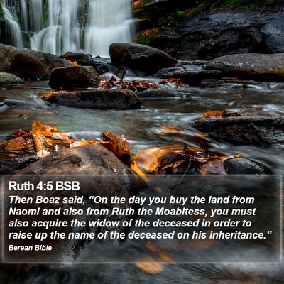 Ruth 4:5 BSB Bible Verse Image