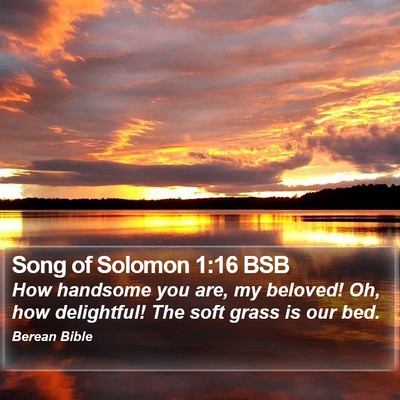 Song of Solomon 1:16 BSB Bible Verse Image