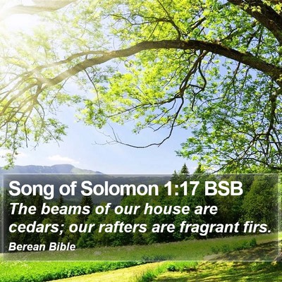 Song of Solomon 1:17 BSB Bible Verse Image