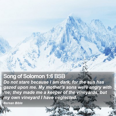Song of Solomon 1:6 BSB Bible Verse Image