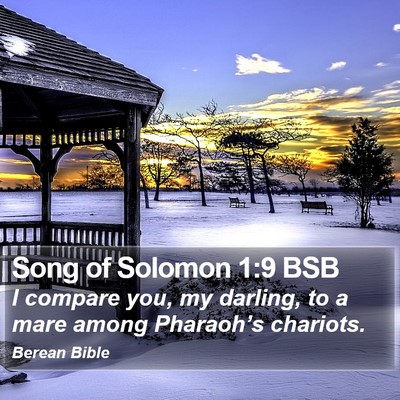 Song of Solomon 1:9 BSB Bible Verse Image