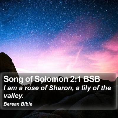 Song of Solomon 2:1 BSB Bible Verse Image