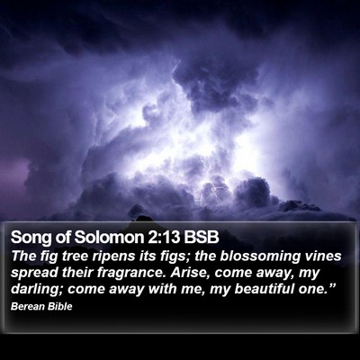 Song of Solomon 2:13 BSB Bible Verse Image