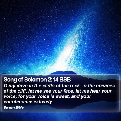 Song of Solomon 2:14 BSB Bible Verse Image