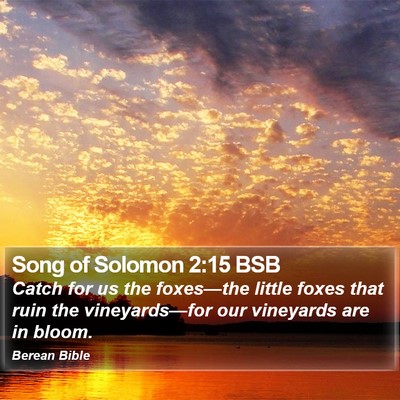 Song of Solomon 2:15 BSB Bible Verse Image