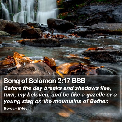 Song of Solomon 2:17 BSB Bible Verse Image