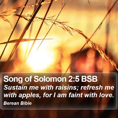 Song of Solomon 2:5 BSB Bible Verse Image