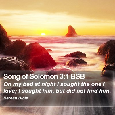 Song of Solomon 3:1 BSB Bible Verse Image