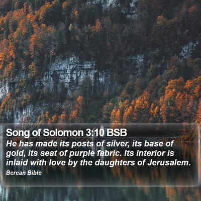 Song of Solomon 3:10 BSB Bible Verse Image