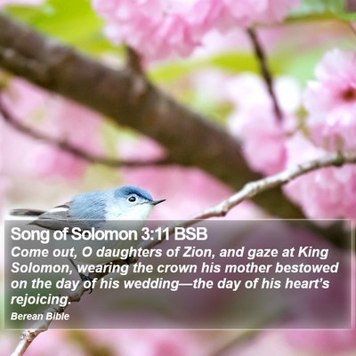 Song of Solomon 3:11 BSB Bible Verse Image